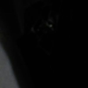 Meet your Posher, Patty